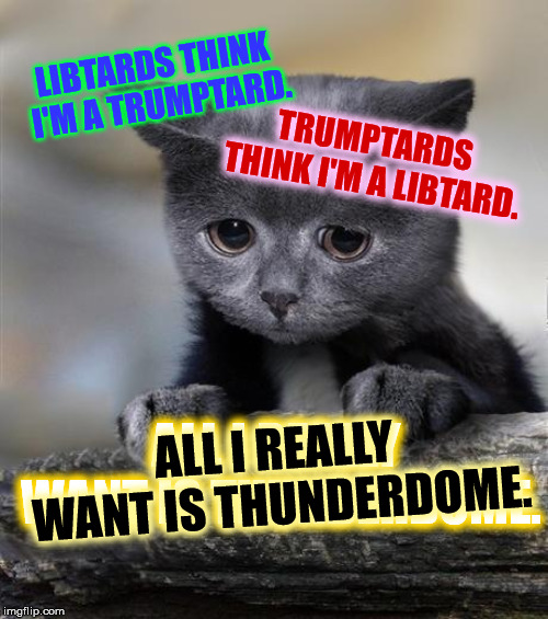 Two Men Enter, One Man Leave. | LIBTARDS THINK I'M A TRUMPTARD. TRUMPTARDS THINK I'M A LIBTARD. ALL I REALLY WANT IS THUNDERDOME. ALL I REALLY WANT IS THUNDERDOME. | image tagged in confession cat,politics,liberals,conservatives,liberal vs conservative,memes | made w/ Imgflip meme maker