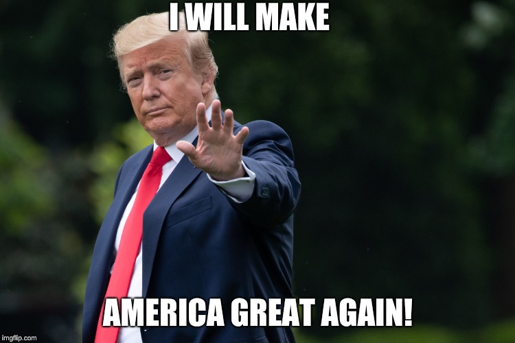 DONALD TRUMP | I WILL MAKE; AMERICA GREAT AGAIN! | image tagged in donald trump | made w/ Imgflip meme maker