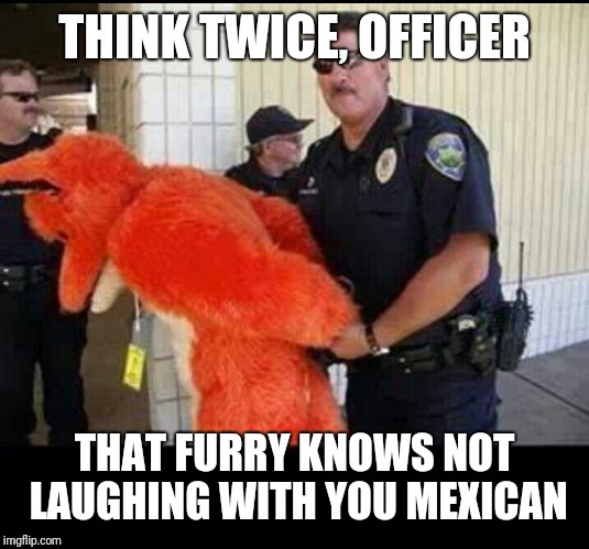 furry | THINK TWICE, OFFICER; THAT FURRY KNOWS NOT LAUGHING WITH YOU MEXICAN | image tagged in furry | made w/ Imgflip meme maker