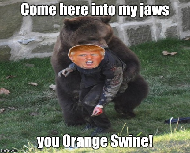 Come here into my jaws; you Orange Swine! | image tagged in donald trump,bear attack,lol so funny | made w/ Imgflip meme maker