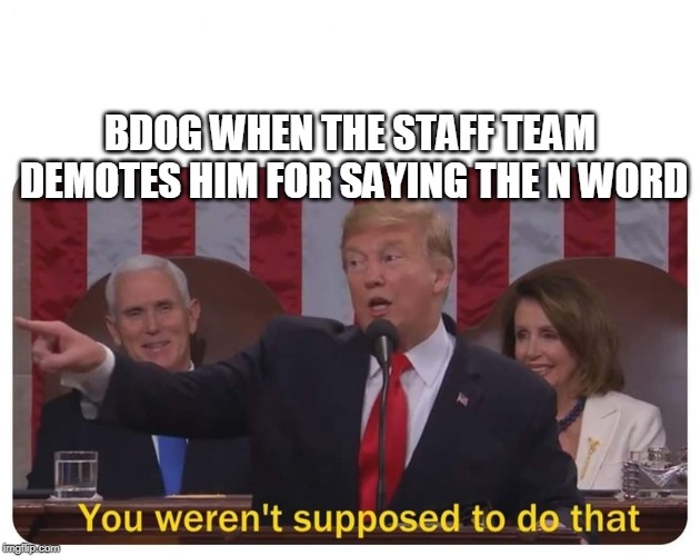 You weren't supposed to do that | BDOG WHEN THE STAFF TEAM DEMOTES HIM FOR SAYING THE N WORD | image tagged in you weren't supposed to do that | made w/ Imgflip meme maker