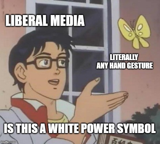 Is This A Pigeon Meme | LIBERAL MEDIA; LITERALLY ANY HAND GESTURE; IS THIS A WHITE POWER SYMBOL | image tagged in memes,is this a pigeon | made w/ Imgflip meme maker