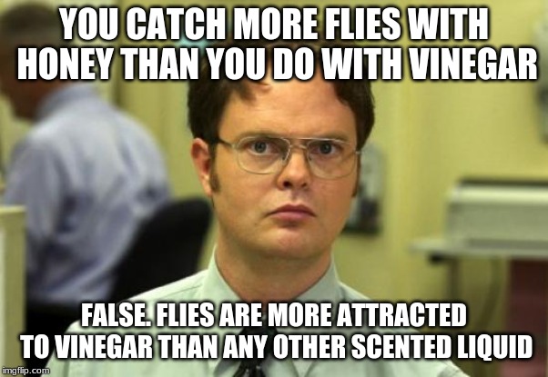 Dwight Schrute Meme | YOU CATCH MORE FLIES WITH HONEY THAN YOU DO WITH VINEGAR; FALSE. FLIES ARE MORE ATTRACTED TO VINEGAR THAN ANY OTHER SCENTED LIQUID | image tagged in memes,dwight schrute | made w/ Imgflip meme maker