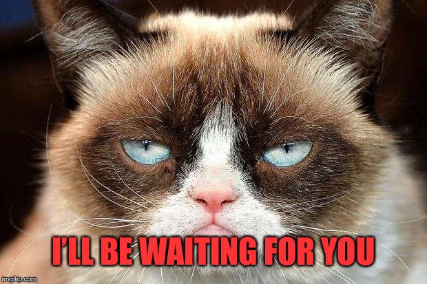 Grumpy Cat Not Amused Meme | I’LL BE WAITING FOR YOU | image tagged in memes,grumpy cat not amused,grumpy cat | made w/ Imgflip meme maker