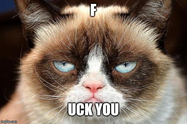 Grumpy Cat Not Amused Meme | F UCK YOU | image tagged in memes,grumpy cat not amused,grumpy cat | made w/ Imgflip meme maker