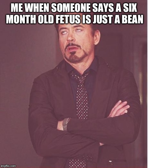 Actually happened today | ME WHEN SOMEONE SAYS A SIX MONTH OLD FETUS IS JUST A BEAN | image tagged in memes,face you make robert downey jr | made w/ Imgflip meme maker