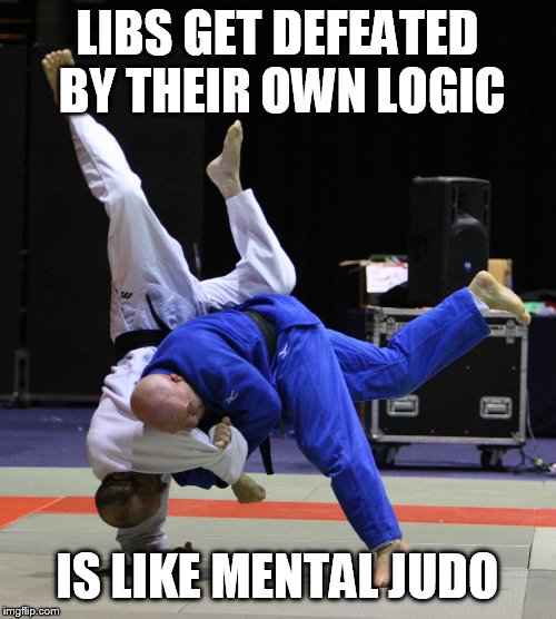Judo Throw | LIBS GET DEFEATED BY THEIR OWN LOGIC IS LIKE MENTAL JUDO | image tagged in judo throw | made w/ Imgflip meme maker