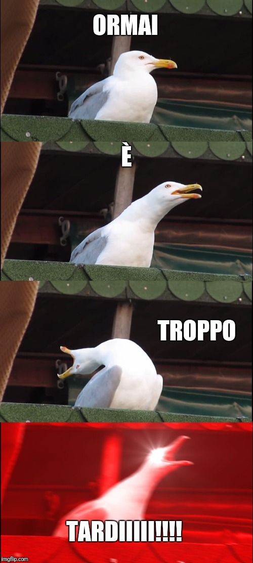 Inhaling Seagull | ORMAI; È; TROPPO; TARDIIIII!!!! | image tagged in memes,inhaling seagull | made w/ Imgflip meme maker
