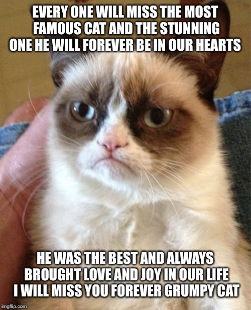 Grumpy Cat | EVERY ONE WILL MISS THE MOST FAMOUS CAT AND THE STUNNING ONE HE WILL FOREVER BE IN OUR HEARTS; HE WAS THE BEST AND ALWAYS BROUGHT LOVE AND JOY IN OUR LIFE 
I WILL MISS YOU FOREVER GRUMPY CAT | image tagged in memes,grumpy cat | made w/ Imgflip meme maker