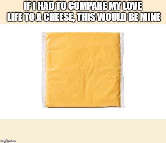 kraft singles | IF I HAD TO COMPARE MY LOVE LIFE TO A CHEESE, THIS WOULD BE MINE | image tagged in cheese,love,sad | made w/ Imgflip meme maker