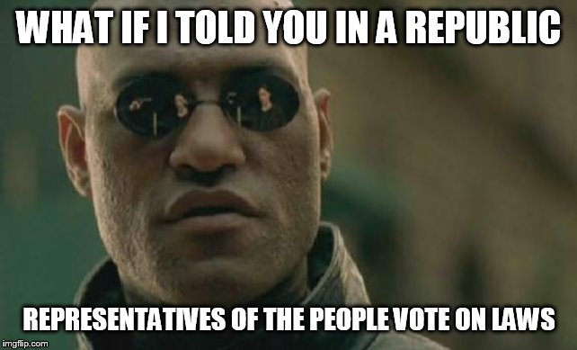 Matrix Morpheus Meme | WHAT IF I TOLD YOU IN A REPUBLIC; REPRESENTATIVES OF THE PEOPLE VOTE ON LAWS | image tagged in memes,matrix morpheus | made w/ Imgflip meme maker