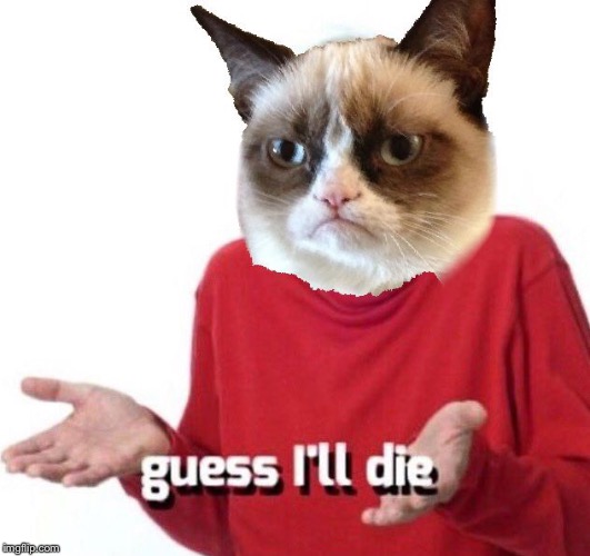 Grumpy Cat is dead | image tagged in grumpy cat,guess i'll die,grumpy old man,funny memes,cats | made w/ Imgflip meme maker