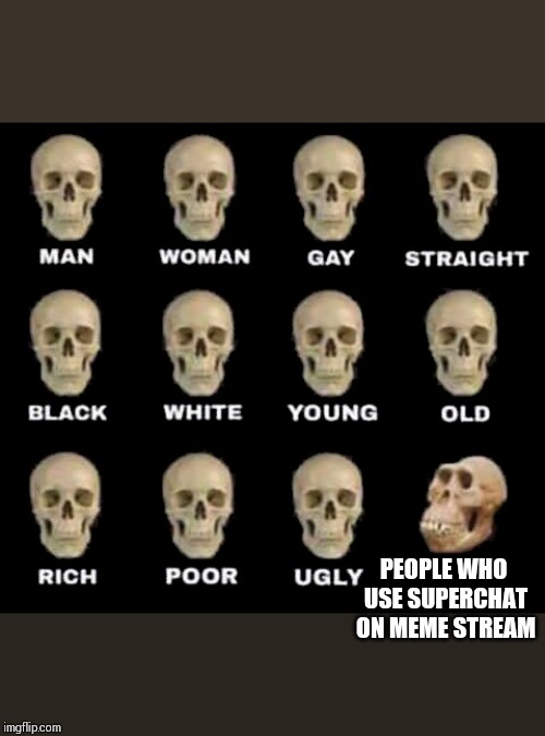 man woman gay straight skull | PEOPLE WHO USE SUPERCHAT ON MEME STREAM | image tagged in man woman gay straight skull | made w/ Imgflip meme maker