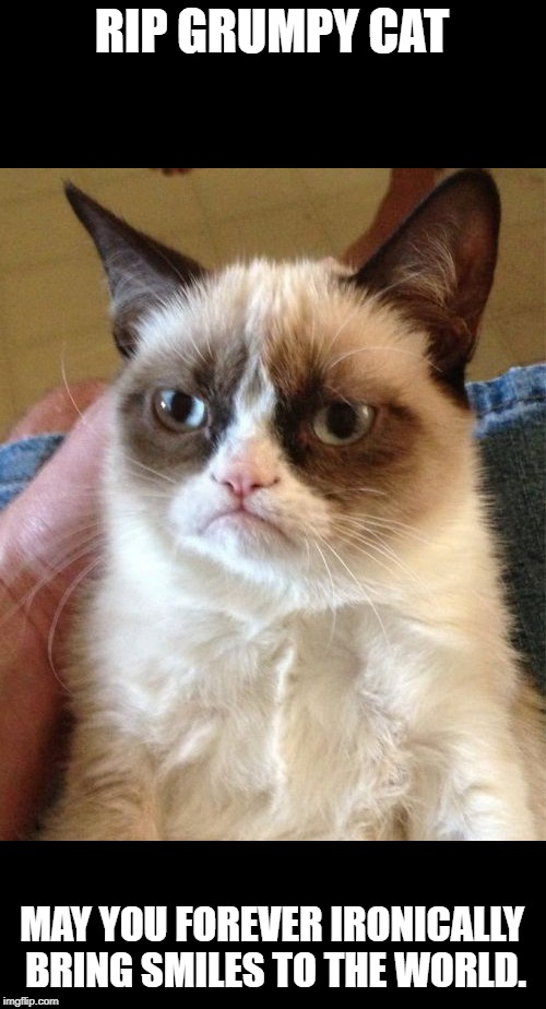 Grumpy Cat Meme | RIP GRUMPY CAT; MAY YOU FOREVER IRONICALLY BRING SMILES TO THE WORLD. | image tagged in memes,grumpy cat | made w/ Imgflip meme maker