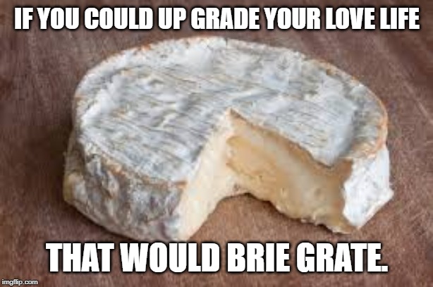 Brie cheese | IF YOU COULD UP GRADE YOUR LOVE LIFE THAT WOULD BRIE GRATE. | image tagged in brie cheese | made w/ Imgflip meme maker
