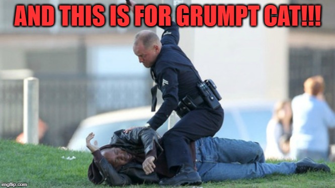 Cop Beating | AND THIS IS FOR GRUMPT CAT!!! | image tagged in cop beating | made w/ Imgflip meme maker