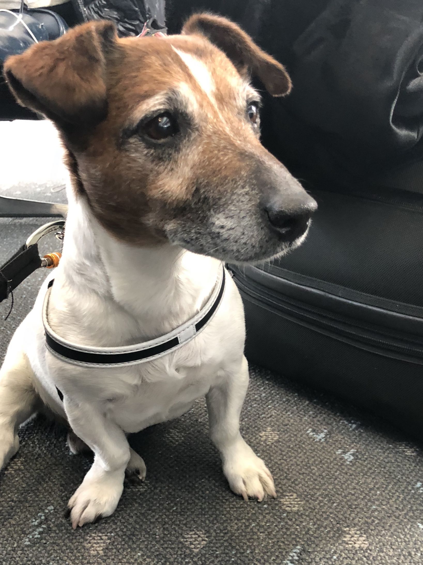 Rico Suave Blank Meme Template