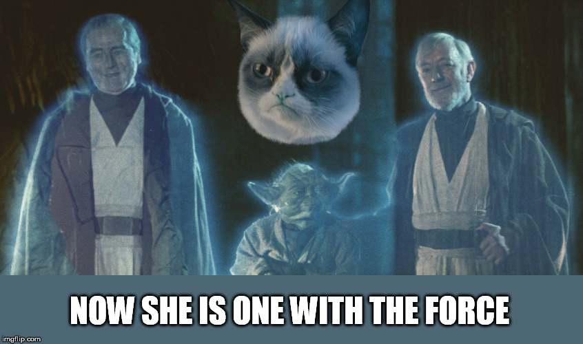 NOW SHE IS ONE WITH THE FORCE | made w/ Imgflip meme maker