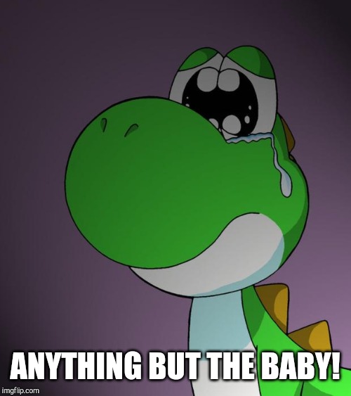 Sad Yoshi | ANYTHING BUT THE BABY! | image tagged in sad yoshi | made w/ Imgflip meme maker