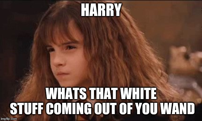 hermione suspiscius | HARRY; WHATS THAT WHITE STUFF COMING OUT OF YOU WAND | image tagged in hermione suspiscius | made w/ Imgflip meme maker