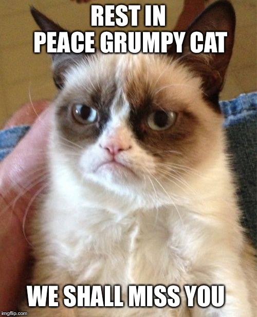 Grumpy Cat Meme | REST IN PEACE GRUMPY CAT; WE SHALL MISS YOU | image tagged in memes,grumpy cat | made w/ Imgflip meme maker