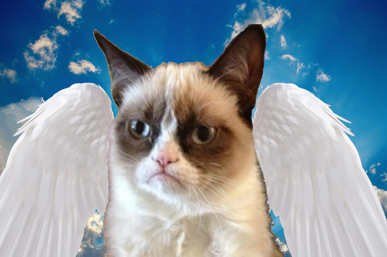 High Quality Angel Grumpy Cat Blank Meme Template