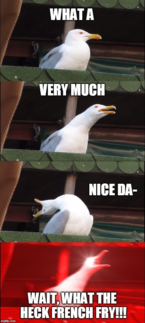 Inhaling Seagull Meme | WHAT A; VERY MUCH; NICE DA-; WAIT, WHAT THE HECK FRENCH FRY!!! | image tagged in memes,inhaling seagull | made w/ Imgflip meme maker