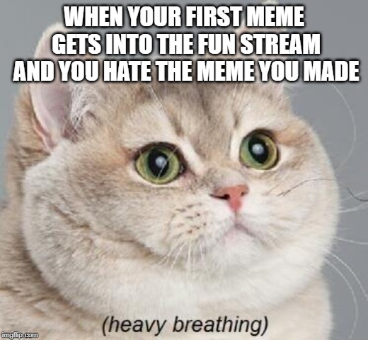 Heavy Breathing Cat | WHEN YOUR FIRST MEME GETS INTO THE FUN STREAM AND YOU HATE THE MEME YOU MADE | image tagged in memes,heavy breathing cat | made w/ Imgflip meme maker
