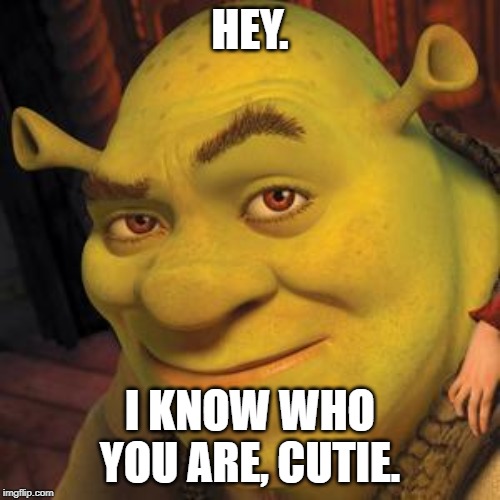Shrek Sexy Face | HEY. I KNOW WHO YOU ARE, CUTIE. | image tagged in shrek sexy face | made w/ Imgflip meme maker