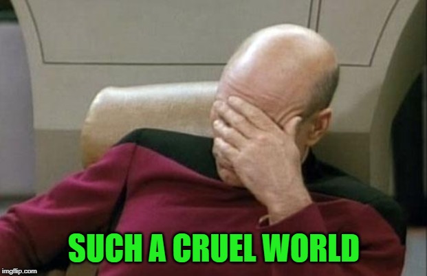 Captain Picard Facepalm Meme | SUCH A CRUEL WORLD | image tagged in memes,captain picard facepalm | made w/ Imgflip meme maker