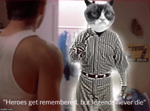 RIP GRUMPY CAT | image tagged in grumpy cat | made w/ Imgflip meme maker