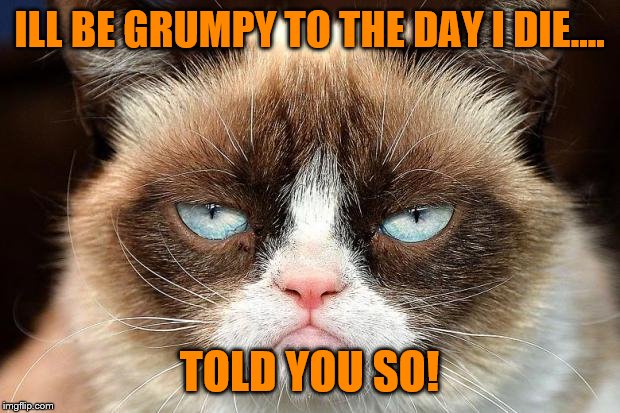 Grumpy Cat Not Amused Meme | ILL BE GRUMPY TO THE DAY I DIE.... TOLD YOU SO! | image tagged in memes,grumpy cat not amused,grumpy cat | made w/ Imgflip meme maker