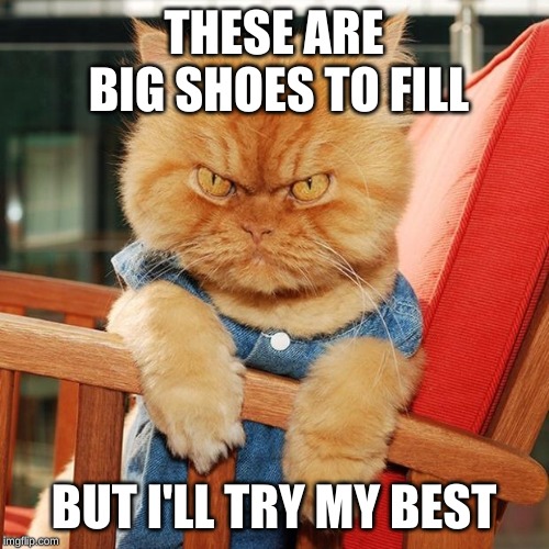 Garfi The Angry Cat | THESE ARE BIG SHOES TO FILL BUT I'LL TRY MY BEST | image tagged in garfi the angry cat | made w/ Imgflip meme maker