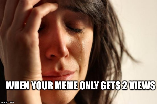 First World Problems | WHEN YOUR MEME ONLY GETS 2 VIEWS | image tagged in memes,first world problems | made w/ Imgflip meme maker