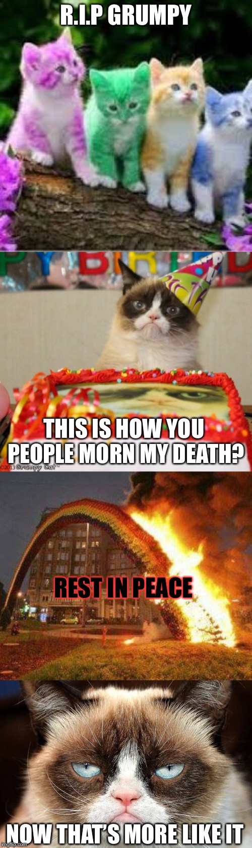 We all will miss you!!! | R.I.P GRUMPY; THIS IS HOW YOU PEOPLE MORN MY DEATH? REST IN PEACE; NOW THAT’S MORE LIKE IT | image tagged in memes,grumpy cat birthday,grumpy cat not amused,burning rainbow,rainbow cats | made w/ Imgflip meme maker