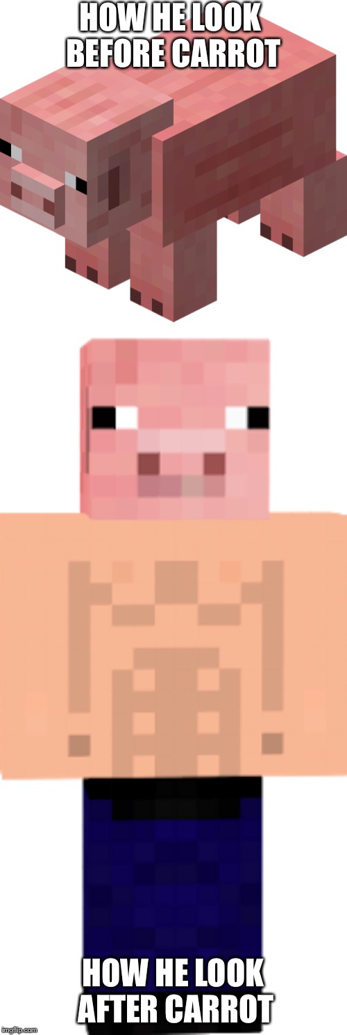 HOW HE LOOK BEFORE CARROT; HOW HE LOOK AFTER CARROT | image tagged in minecraft,pig | made w/ Imgflip meme maker