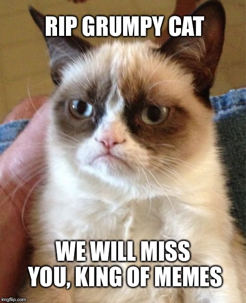 RIP Grumpy cat | RIP GRUMPY CAT; WE WILL MISS YOU, KING OF MEMES | image tagged in memes,grumpy cat,rip,sad | made w/ Imgflip meme maker
