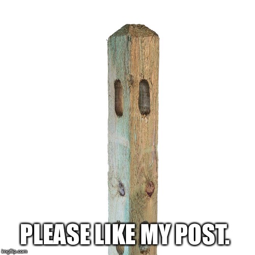 Like my post | PLEASE LIKE MY POST. | image tagged in like,my,post | made w/ Imgflip meme maker