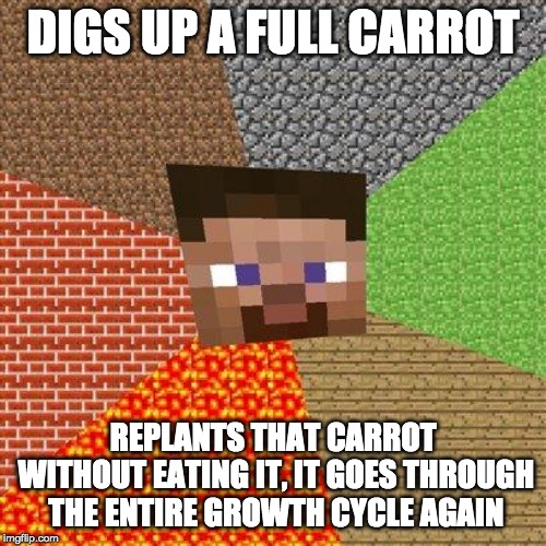 Minecraft Steve | DIGS UP A FULL CARROT; REPLANTS THAT CARROT WITHOUT EATING IT, IT GOES THROUGH THE ENTIRE GROWTH CYCLE AGAIN | image tagged in minecraft steve | made w/ Imgflip meme maker