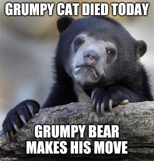 Confession Bear Meme | GRUMPY CAT DIED TODAY; GRUMPY BEAR MAKES HIS MOVE | image tagged in memes,confession bear | made w/ Imgflip meme maker