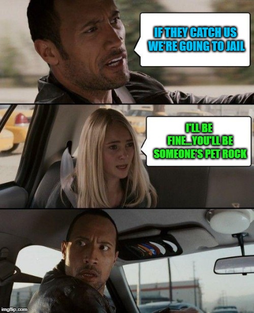 Get a piece of the Rock! | IF THEY CATCH US WE'RE GOING TO JAIL; I'LL BE FINE...YOU'LL BE SOMEONE'S PET ROCK | image tagged in memes,the rock driving,going to jail,funny,pet rock | made w/ Imgflip meme maker