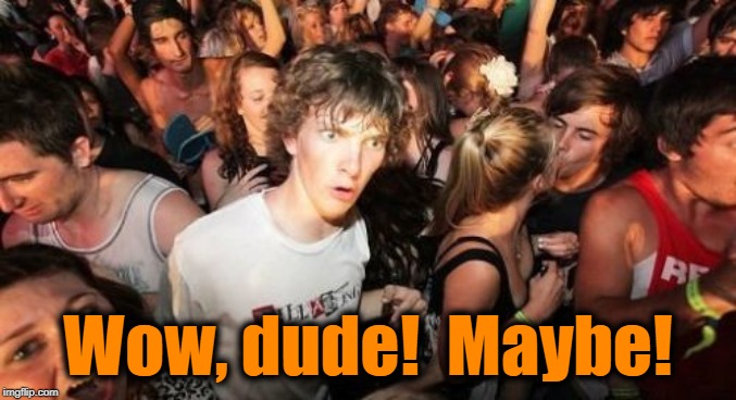 Sudden Clarity Clarence Meme | Wow, dude!  Maybe! | image tagged in memes,sudden clarity clarence | made w/ Imgflip meme maker