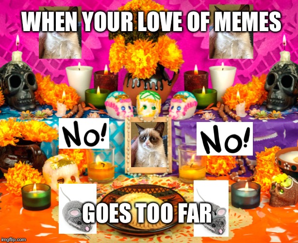 When your love of memes goes too far | WHEN YOUR LOVE OF MEMES; GOES TOO FAR | image tagged in grumpy cat,no,altar,memes,love memes | made w/ Imgflip meme maker