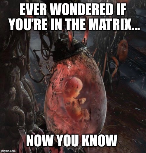 womb |  EVER WONDERED IF YOU’RE IN THE MATRIX... NOW YOU KNOW | image tagged in womb,abortion,birth control,forced | made w/ Imgflip meme maker