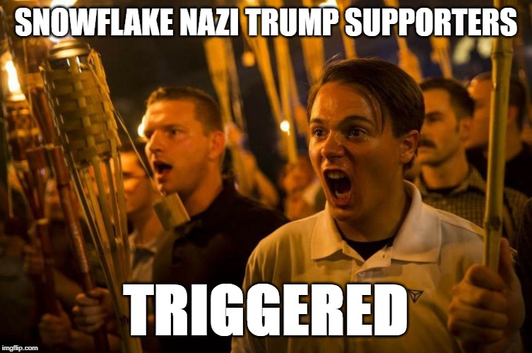 Charlottesville nazis | SNOWFLAKE NAZI TRUMP SUPPORTERS TRIGGERED | image tagged in charlottesville nazis | made w/ Imgflip meme maker