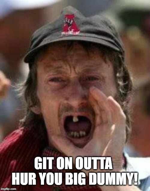 Toothless Alabama | GIT ON OUTTA HUR YOU BIG DUMMY! | image tagged in toothless alabama | made w/ Imgflip meme maker