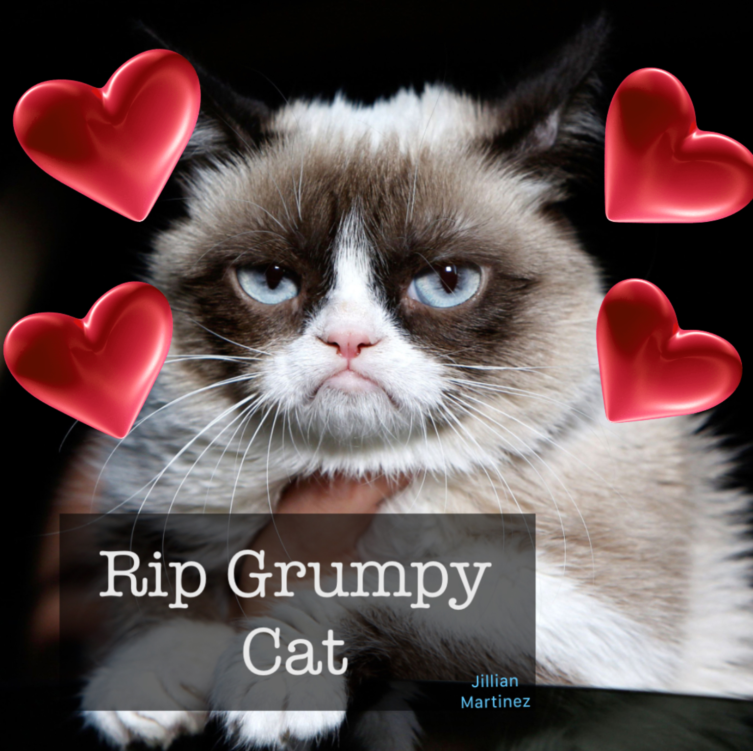 Rip Grumpy cat Blank Meme Template