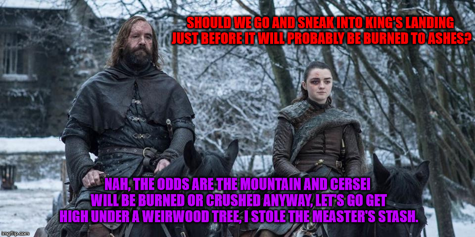 arya hound | SHOULD WE GO AND SNEAK INTO KING'S LANDING JUST BEFORE IT WILL PROBABLY BE BURNED TO ASHES? NAH, THE ODDS ARE THE MOUNTAIN AND CERSEI WILL BE BURNED OR CRUSHED ANYWAY, LET'S GO GET HIGH UNDER A WEIRWOOD TREE, I STOLE THE MEASTER'S STASH. | image tagged in arya hound | made w/ Imgflip meme maker