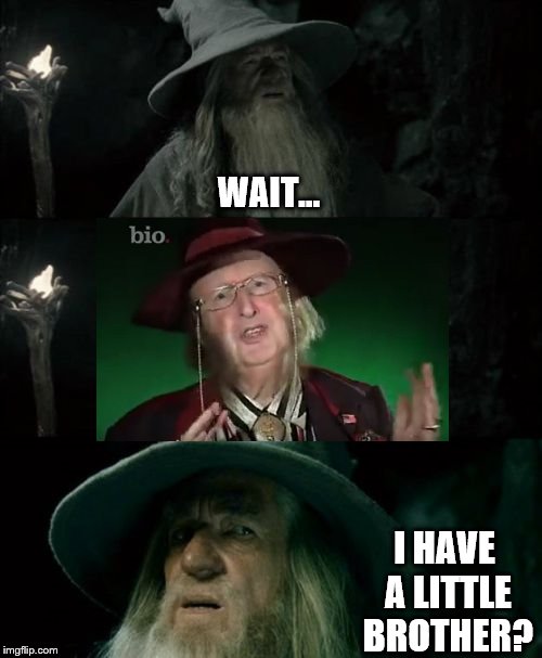 Should never have done that 23andme DNA test | WAIT... I HAVE A LITTLE BROTHER? | image tagged in memes,confused gandalf | made w/ Imgflip meme maker