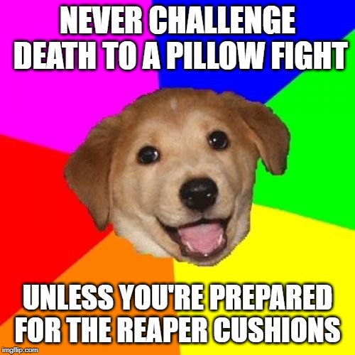Advice Dog | NEVER CHALLENGE DEATH TO A PILLOW FIGHT; UNLESS YOU'RE PREPARED FOR THE REAPER CUSHIONS | image tagged in memes,advice dog | made w/ Imgflip meme maker